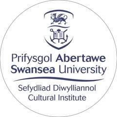 Cultural Institute - Swansea University