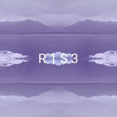 R1S3