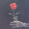 Saud.