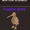fugnkin burd