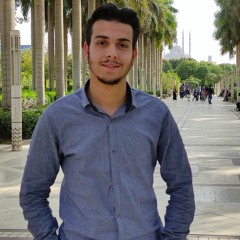 محمد إبراهيم النجار