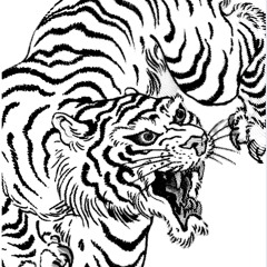 Haroon Has Great Jeans