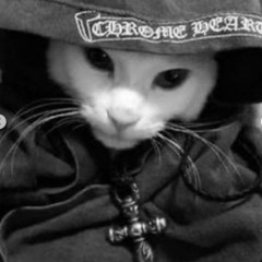 ꧁꧂꧁꧂𝓑𝓛4𝓣𝓣𝓛𝓞𝓡𝓓𝓔𝓩4𝓨𝓨 ᡕᠵデᡁ᠊╾━ ᶻ 𝗓 𐰁