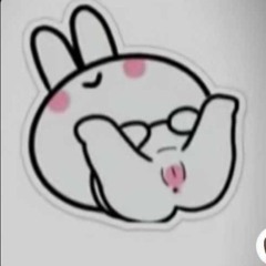 dapvomomconcholamking13