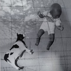 𝗥𝗮𝗻𝗱𝗼𝗺 𝗺𝗲𝗺𝗼𝗿𝘆