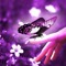 Asmaa  Atef