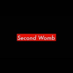 Second Womb