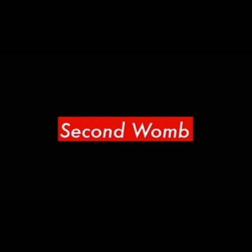 Second Womb’s avatar