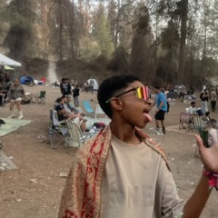 מאיר סלומון