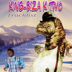 KING-BIZA K TWO