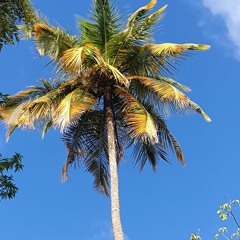 Gwada