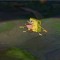 Spongy