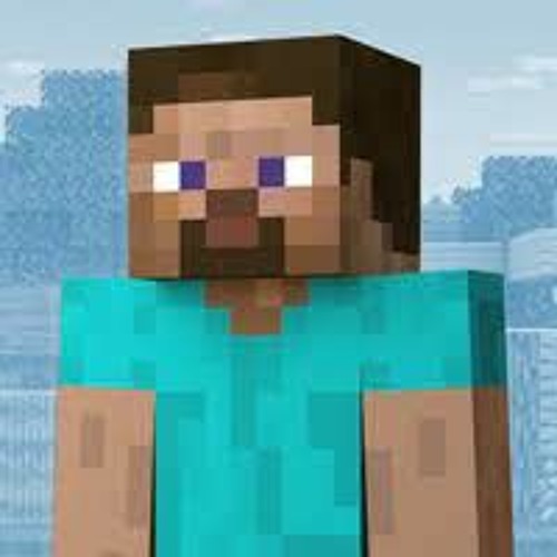 I am Steve’s avatar