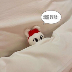 김다인