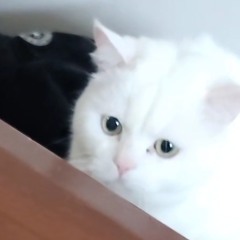 GGURUMI
