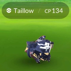 User 146697843