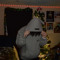 gxbbi3_