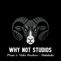 Why Not Studios