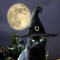 Nessy Moon at One Acre & A Dream