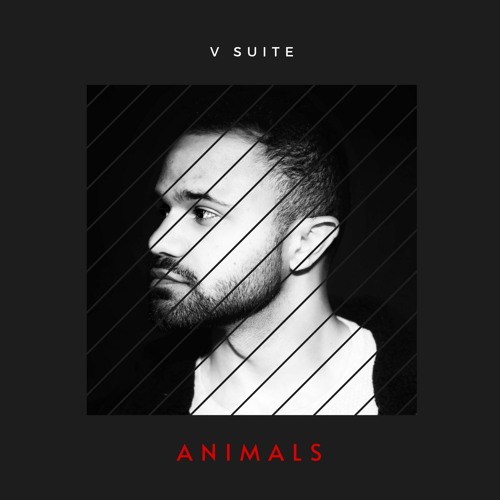 V Suite’s avatar