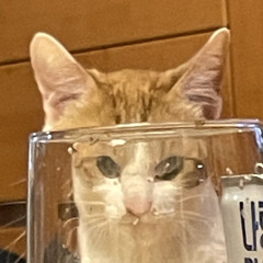 이경준