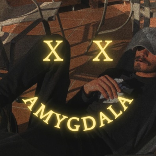 Amygdala’s avatar