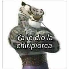 Cel Xd