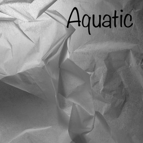 Aquatic’s avatar