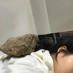 shimhyo1