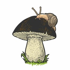dgstclair10