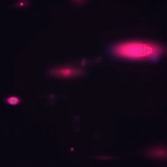 Luno✩