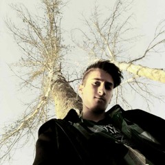 Hossein soltani