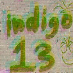 INDIGO 13