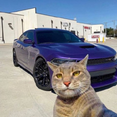 R3W1ND