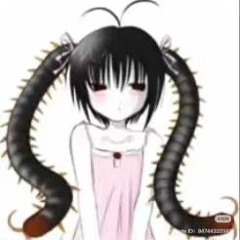 zuzia