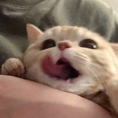 r⋆｡°
