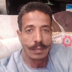 ابوبكرامين