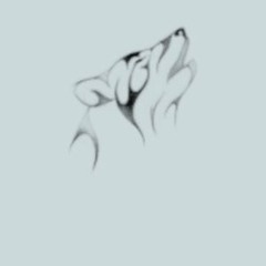 LouderFox: Your Digital Space for Knowledge & Creativity