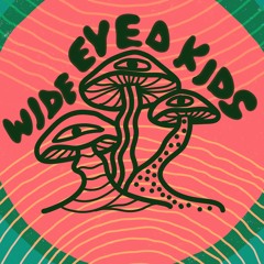 The Wide Eyed Kids