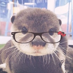 ໒꒰ྀིᵔ ᵕ ᵔ ꒱ྀི১