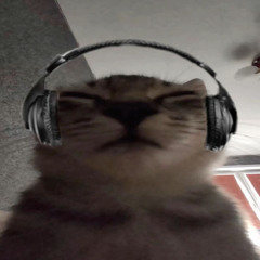 Em , Ve Di Em REMIX
