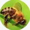 BungieBee
