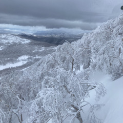 河村