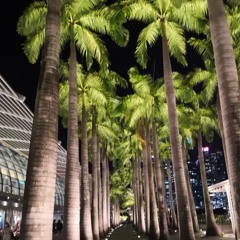 🎧🎼My Journey Official_Channel🎼🎧