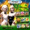 POTA69 GACOR DISINI