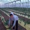 Abood Abu Snena