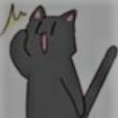 daily cat
