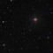 Cosmos