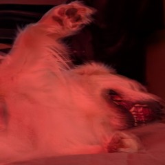 their feet will drop