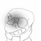 lol_imkiller:^